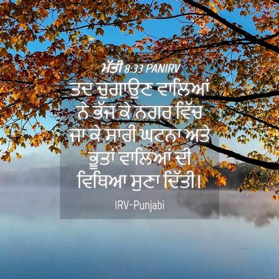 Picture 04 - ਮੱਤੀ 8:33 PANIRV - ਤਦ ਚੁਗਾਉਣ ਵਾਲਿਆਂ - Bible Verse Picture