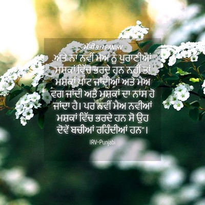 Picture 04 - ਮੱਤੀ 9:17 PANIRV - ਅਤੇ ਨਾ ਨਵੀਂ ਮੈਅ ਨੂੰ - Bible Verse Picture