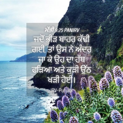 Picture 04 - ਮੱਤੀ 9:25 PANIRV - ਜਦੋਂ ਭੀੜ ਬਾਹਰ ਕੱਢੀ - Bible Verse Picture