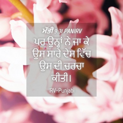 Picture 04 - ਮੱਤੀ 9:31 PANIRV - ਪਰ ਉਨ੍ਹਾਂ ਨੇ ਜਾ ਕੇ - Bible Verse Picture