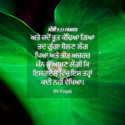 Picture 04 - ਮੱਤੀ 9:33 PANIRV - ਅਤੇ ਜਦੋਂ ਭੂਤ ਕੱਢਿਆ - Bible Verse Picture