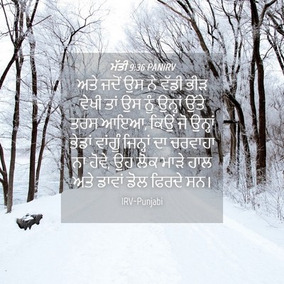 Picture 04 - ਮੱਤੀ 9:36 PANIRV - ਅਤੇ ਜਦੋਂ ਉਸ ਨੇ ਵੱਡੀ - Bible Verse Picture
