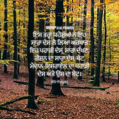 Picture 04 - ਯਸ਼ਵਾ 11:16 PANIRV - ਇਸ ਤਰ੍ਹਾਂ ਯਹੋਸ਼ੁਆ - Bible Verse Picture