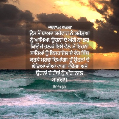 Picture 04 - ਯਸ਼ਵਾ 11:6 PANIRV - ਉਸ ਤੋਂ ਬਾਅਦ ਯਹੋਵਾਹ - Bible Verse Picture