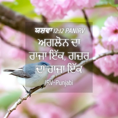 Picture 04 - ਯਸ਼ਵਾ 12:12 PANIRV - ਅਗਲੋਨ ਦਾ ਰਾਜਾ ਇੱਕ, - Bible Verse Picture