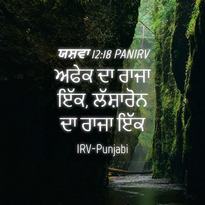 Picture 04 - ਯਸ਼ਵਾ 12:18 PANIRV - ਅਫੇਕ ਦਾ ਰਾਜਾ ਇੱਕ, - Bible Verse Picture