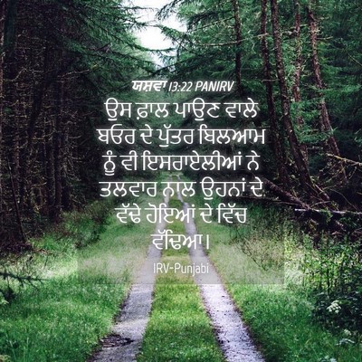 Picture 04 - ਯਸ਼ਵਾ 13:22 PANIRV - ਉਸ ਫ਼ਾਲ ਪਾਉਣ ਵਾਲੇ - Bible Verse Picture