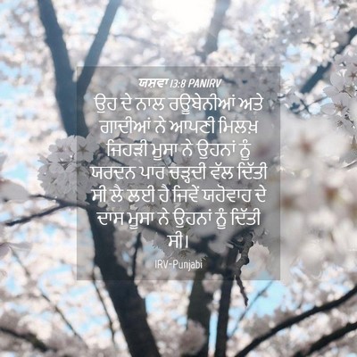 Picture 04 - ਯਸ਼ਵਾ 13:8 PANIRV - ਉਹ ਦੇ ਨਾਲ ਰਊਬੇਨੀਆਂ - Bible Verse Picture