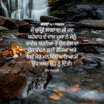 Picture 04 - ਯਸ਼ਵਾ 14:7 PANIRV - ਮੈਂ ਚਾਲ੍ਹੀ ਸਾਲਾਂ - Bible Verse Picture