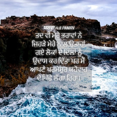 Picture 04 - ਯਸ਼ਵਾ 14:8 PANIRV - ਤਦ ਵੀ ਮੇਰੇ ਭਰਾਵਾਂ - Bible Verse Picture