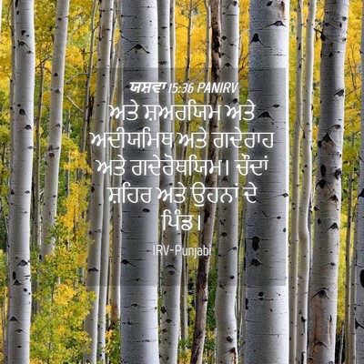 Picture 04 - ਯਸ਼ਵਾ 15:36 PANIRV - ਅਤੇ ਸ਼ਅਰਯਿਮ ਅਤੇ - Bible Verse Picture