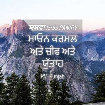 Picture 04 - ਯਸ਼ਵਾ 15:55 PANIRV - ਮਾਓਨ ਕਰਮਲ ਅਤੇ ਜ਼ੀਫ - Bible Verse Picture