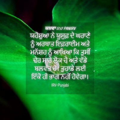 Picture 04 - ਯਸ਼ਵਾ 17:17 PANIRV - ਯਹੋਸ਼ੁਆ ਨੇ ਯੂਸੁਫ਼ - Bible Verse Picture