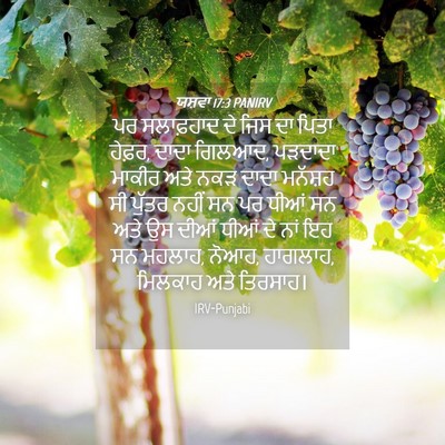 Picture 04 - ਯਸ਼ਵਾ 17:3 PANIRV - ਪਰ ਸਲਾਫ਼ਹਾਦ ਦੇ ਜਿਸ - Bible Verse Picture