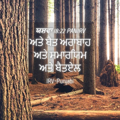 Picture 04 - ਯਸ਼ਵਾ 18:22 PANIRV - ਅਤੇ ਬੈਤ ਅਰਾਬਾਹ ਅਤੇ - Bible Verse Picture