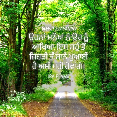 Picture 04 - ਯਸ਼ਵਾ 2:17 PANIRV - ਉਹਨਾਂ ਮਨੁੱਖਾਂ ਨੇ - Bible Verse Picture