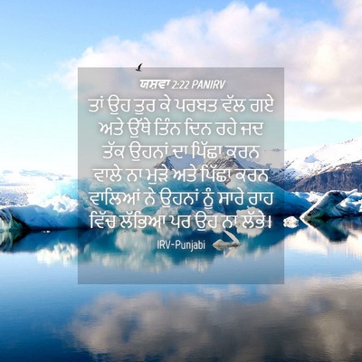 Picture 04 - ਯਸ਼ਵਾ 2:22 PANIRV - ਤਾਂ ਉਹ ਤੁਰ ਕੇ ਪਰਬਤ - Bible Verse Picture