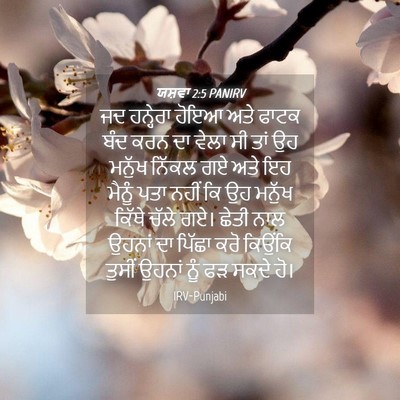 Picture 04 - ਯਸ਼ਵਾ 2:5 PANIRV - ਜਦ ਹਨ੍ਹੇਰਾ ਹੋਇਆ - Bible Verse Picture