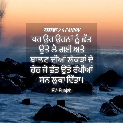 Picture 04 - ਯਸ਼ਵਾ 2:6 PANIRV - ਪਰ ਉਹ ਉਹਨਾਂ ਨੂੰ ਛੱਤ - Bible Verse Picture