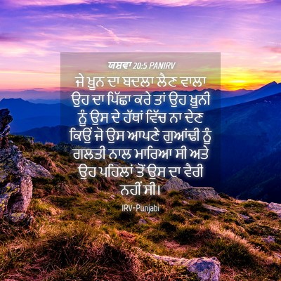 Picture 04 - ਯਸ਼ਵਾ 20:5 PANIRV - ਜੇ ਖ਼ੂਨ ਦਾ ਬਦਲਾ ਲੈਣ - Bible Verse Picture