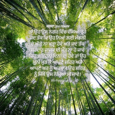 Picture 04 - ਯਸ਼ਵਾ 20:6 PANIRV - ਤਾਂ ਉਹ ਉਸ ਨਗਰ ਵਿੱਚ - Bible Verse Picture
