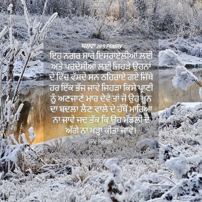 Picture 04 - ਯਸ਼ਵਾ 20:9 PANIRV - ਇਹ ਨਗਰ ਸਾਰੇ - Bible Verse Picture