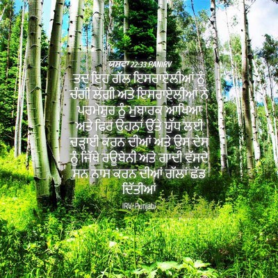Picture 04 - ਯਸ਼ਵਾ 22:33 PANIRV - ਤਦ ਇਹ ਗੱਲ - Bible Verse Picture