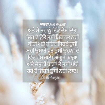 Picture 04 - ਯਸ਼ਵਾ 24:13 PANIRV - ਅਤੇ ਮੈਂ ਤੁਹਾਨੂੰ - Bible Verse Picture