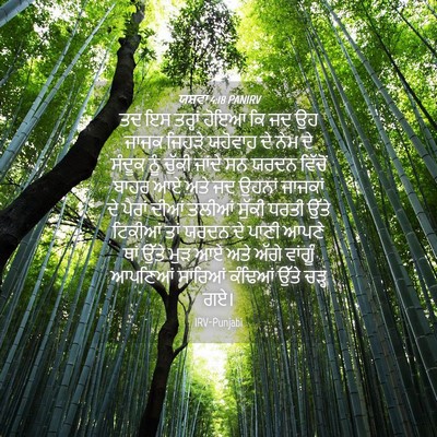 Picture 04 - ਯਸ਼ਵਾ 4:18 PANIRV - ਤਦ ਇਸ ਤਰ੍ਹਾਂ ਹੋਇਆ - Bible Verse Picture