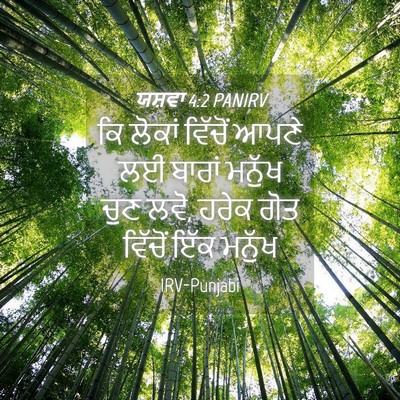 Picture 04 - ਯਸ਼ਵਾ 4:2 PANIRV - ਕਿ ਲੋਕਾਂ ਵਿੱਚੋਂ - Bible Verse Picture