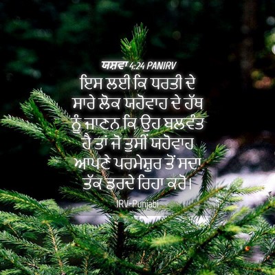 Picture 04 - ਯਸ਼ਵਾ 4:24 PANIRV - ਇਸ ਲਈ ਕਿ ਧਰਤੀ ਦੇ - Bible Verse Picture