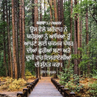 Picture 04 - ਯਸ਼ਵਾ 5:2 PANIRV - ਉਸ ਵੇਲੇ ਯਹੋਵਾਹ ਨੇ - Bible Verse Picture