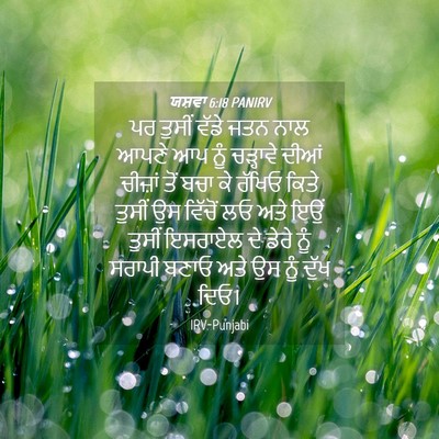 Picture 04 - ਯਸ਼ਵਾ 6:18 PANIRV - ਪਰ ਤੁਸੀਂ ਵੱਡੇ ਜਤਨ - Bible Verse Picture