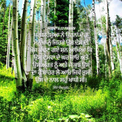 Picture 04 - ਯਸ਼ਵਾ 6:22 PANIRV - ਪਰ ਯਹੋਸ਼ੁਆ ਨੇ - Bible Verse Picture