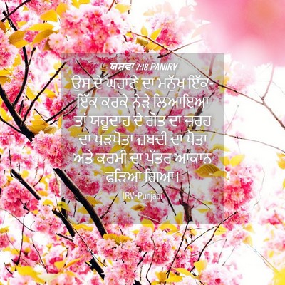 Picture 04 - ਯਸ਼ਵਾ 7:18 PANIRV - ਉਸ ਦੇ ਘਰਾਣੇ ਦਾ - Bible Verse Picture