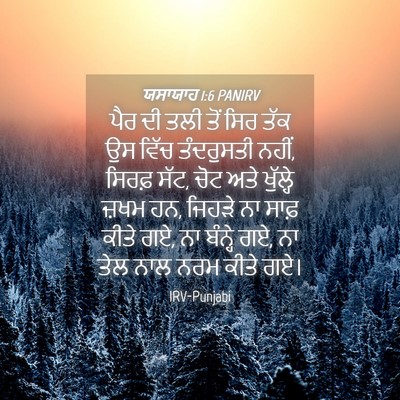Picture 04 - ਯਸਾਯਾਹ 1:6 PANIRV - ਪੈਰ ਦੀ ਤਲੀ ਤੋਂ ਸਿਰ - Bible Verse Picture