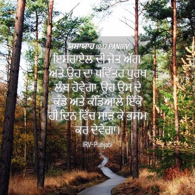 Picture 04 - ਯਸਾਯਾਹ 10:17 PANIRV - ਇਸਰਾਏਲ ਦੀ ਜੋਤ ਅੱਗ, - Bible Verse Picture