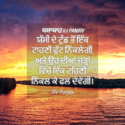 Picture 04 - ਯਸਾਯਾਹ 11:1 PANIRV - ਯੱਸੀ ਦੇ ਟੁੰਡ ਤੋਂ - Bible Verse Picture