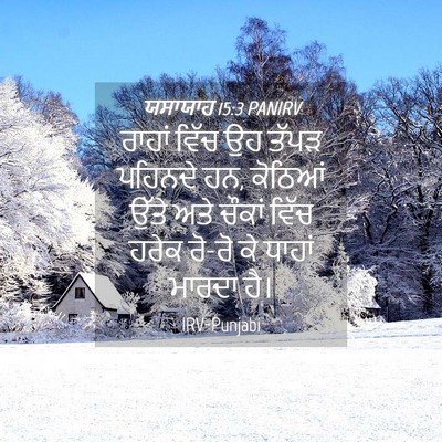 Picture 04 - ਯਸਾਯਾਹ 15:3 PANIRV - ਰਾਹਾਂ ਵਿੱਚ ਉਹ ਤੱਪੜ - Bible Verse Picture