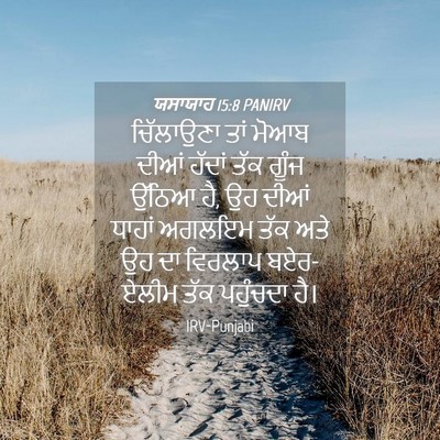 Picture 04 - ਯਸਾਯਾਹ 15:8 PANIRV - ਚਿੱਲਾਉਣਾ ਤਾਂ ਮੋਆਬ - Bible Verse Picture