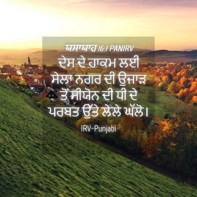 Picture 04 - ਯਸਾਯਾਹ 16:1 PANIRV - ਦੇਸ ਦੇ ਹਾਕਮ ਲਈ ਸੇਲਾ - Bible Verse Picture