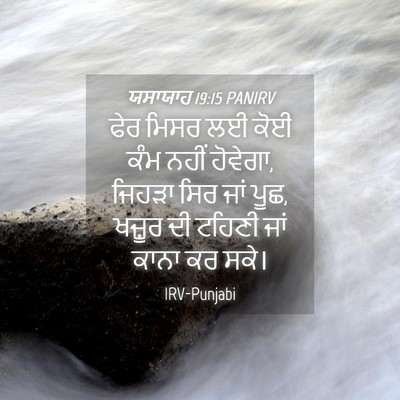 Picture 04 - ਯਸਾਯਾਹ 19:15 PANIRV - ਫੇਰ ਮਿਸਰ ਲਈ ਕੋਈ ਕੰਮ - Bible Verse Picture
