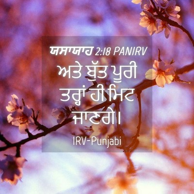 Picture 04 - ਯਸਾਯਾਹ 2:18 PANIRV - ਅਤੇ ਬੁੱਤ ਪੂਰੀ - Bible Verse Picture