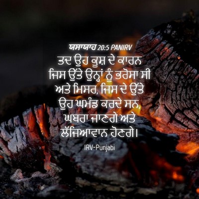 Picture 04 - ਯਸਾਯਾਹ 20:5 PANIRV - ਤਦ ਉਹ ਕੂਸ਼ ਦੇ ਕਾਰਨ - Bible Verse Picture