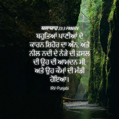 Picture 04 - ਯਸਾਯਾਹ 23:3 PANIRV - ਬਹੁਤਿਆਂ ਪਾਣੀਆਂ ਦੇ - Bible Verse Picture