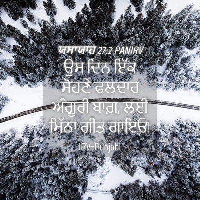 Picture 04 - ਯਸਾਯਾਹ 27:2 PANIRV - ਉਸ ਦਿਨ ਇੱਕ ਸੋਹਣੇ - Bible Verse Picture