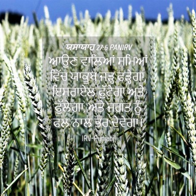 Picture 04 - ਯਸਾਯਾਹ 27:6 PANIRV - ਆਉਣ ਵਾਲਿਆਂ ਸਮਿਆਂ - Bible Verse Picture