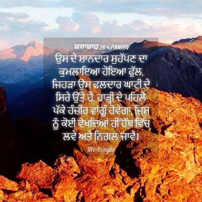 Picture 04 - ਯਸਾਯਾਹ 28:4 PANIRV - ਉਸ ਦੇ ਸ਼ਾਨਦਾਰ - Bible Verse Picture