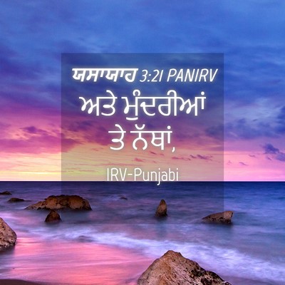 Picture 04 - ਯਸਾਯਾਹ 3:21 PANIRV - ਅਤੇ ਮੁੰਦਰੀਆਂ ਤੇ - Bible Verse Picture