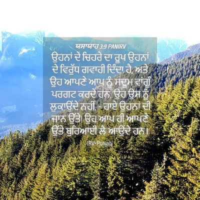 Picture 04 - ਯਸਾਯਾਹ 3:9 PANIRV - ਉਹਨਾਂ ਦੇ ਚਿਹਰੇ ਦਾ - Bible Verse Picture